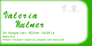 valeria mulner business card